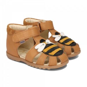 Ameko - A6-Bee-Carmel